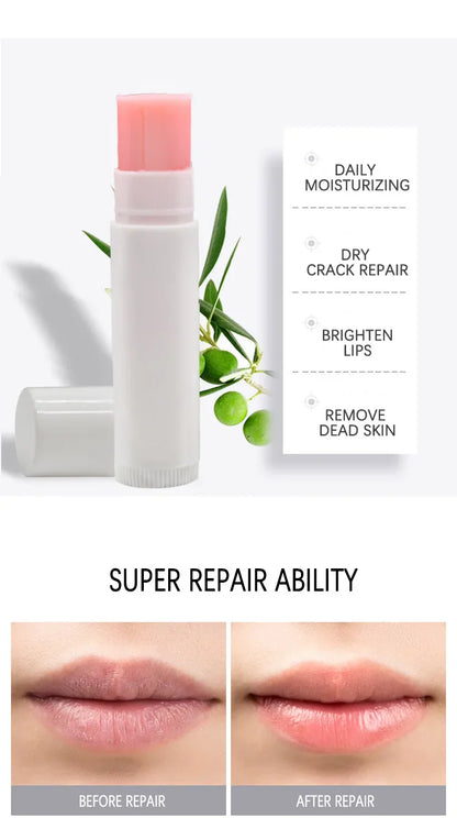 Private Label 6-color Lip Balm Custom Bulk White Round Tube All Lips Tints Moisturizer Hydrating Remove Dead Skin Base MakeUp